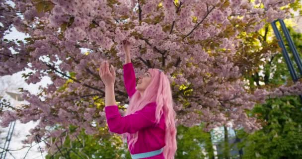 Girl Pink Clothes Pink Hair Examines Business Which Blooms Magnificently — Stock Video