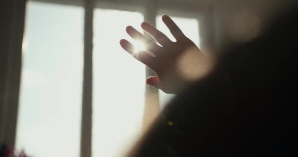早晨的阳光在一个年轻姑娘的手掌上美丽地照射着手指头 在第一人称中近距离射击 — 图库视频影像