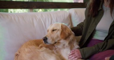 Yakın çekim: bir çift adam ve bir kız büyük açık renkli bir köpeği okşuyor. Dışarıda, çardaktaki kanepede vakit geçir..