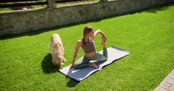 一位穿着特殊运动服的金发女孩在草坪上的灰色地毯上做瑜伽 她的浅色的狗在她身边散步 — 图库视频影像