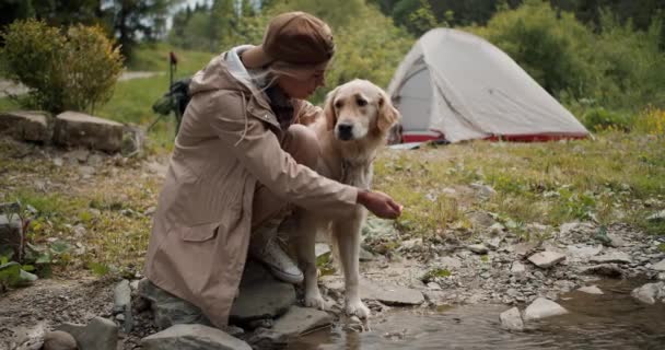 一个穿着远足服装的金发女孩和她的浅色的狗站在山河边 在帐篷和绿林的背景下给她的狗洗澡 和你的宠物一起远足 — 图库视频影像