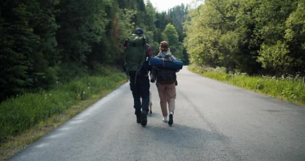 緑の森に沿って道を歩く大きなバックパックとハイキングのための特別な服の男と少女の観光客のリアビュー — ストック動画