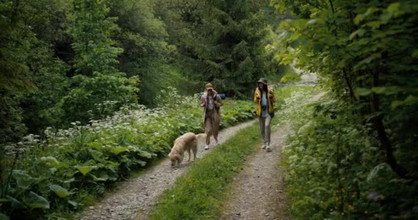 Dvě Dívky Blondýnka Bruneta Turistické Uniformě Kráčejí Krásném Zeleném Lese — Stock video