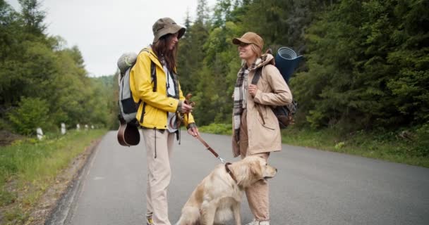 Две Девушки Походе Брюнетка Жёлтой Куртке Держит Свою Светлую Собаку — стоковое видео