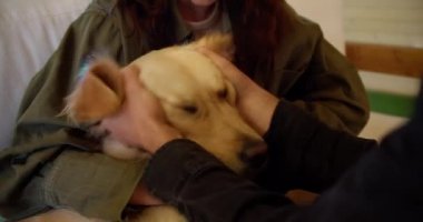 Close-up shot of a couple of a brunette guy and a brunette girl in a green jacket interacting and stroking a dog light coloring.