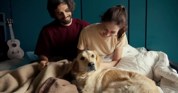 一对快乐的夫妇和他们的宠物在一起 一个男人和一个女孩和他们的狗在他们家的床上玩浅色的游戏 背靠着一堵碧绿的墙 — 图库视频影像