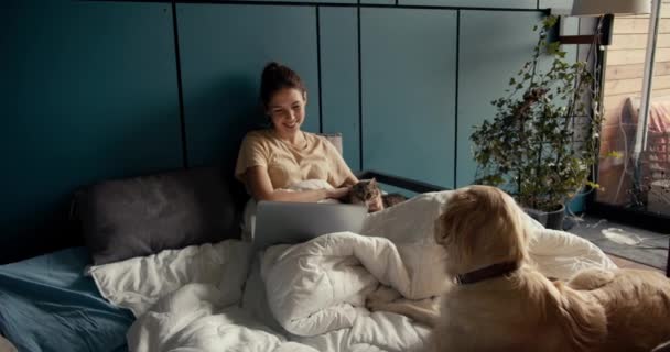Брюнетка Лежить Ліжку Поруч Своєю Собакою Погладжуючи Кота Дивлячись Екран — стокове відео