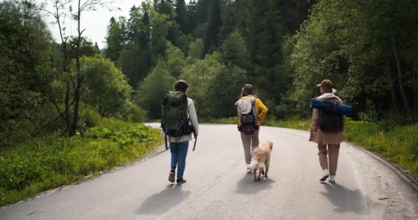 3个身穿特殊服装 提着大包的徒步旅行者 带着他们的狗沿着森林走在路上 — 图库视频影像