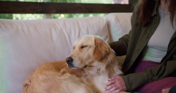 一人の男と一人の女の子が大きなライトカラーの犬を飼っている ガゼボのソファーの屋外レジャー — ストック動画