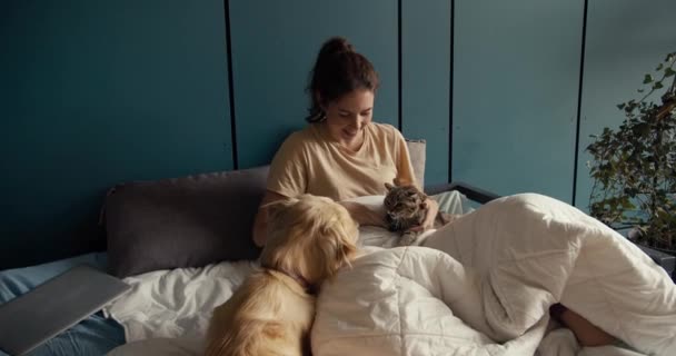 ブルネットの女の子は犬と猫の近くのベッドに横たわっています 猫は犬の存在を好まないが 少女は彼らを和解させる 自宅でのインタラクティブペット — ストック動画