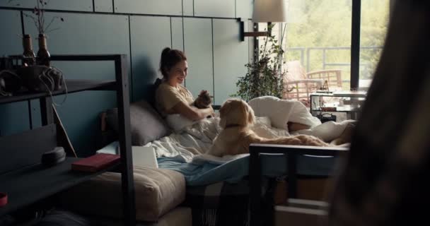 Брюнетка Лежит Кровати Рядом Собакой Кошкой Счастливая Девочка Играет Своими — стоковое видео