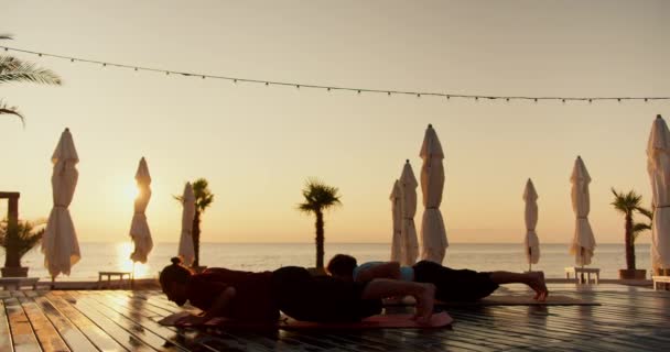 Two Guys Doing Wellness Yoga Beach Sunrise Sports Morning Exercises — Stock Video