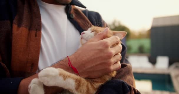 Penembakan Jarak Dekat Seorang Pria Memegang Dan Membelai Seekor Kucing — Stok Video