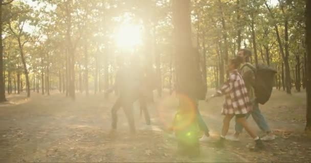 一组六人的侧视图 他们穿着特殊的远足服装 背着背包行走在夏天的森林里 穿着格子呢衬衫在森林里散步的快乐人 — 图库视频影像