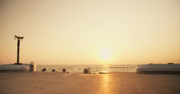 Парень Девушка Останавливаются Прекрасного Солнечного Летнего Пляжа Велосипедах Летом Рассвете — стоковое видео