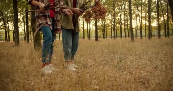 一个男人和一个女孩在秋天的森林里散步 在远足的休息站捡柴火的特写镜头 — 图库视频影像