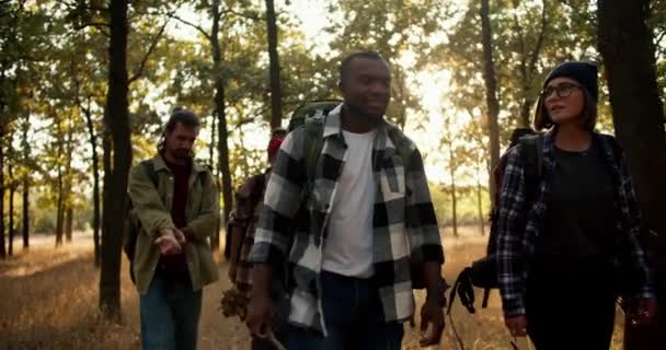 快乐的国际团体在夏天的森林里远足 一个黑皮肤的男人 穿着格子衬衫 一个金发碧眼的女孩 和他们的朋友们一起在森林里特别徒步旅行 — 图库视频影像