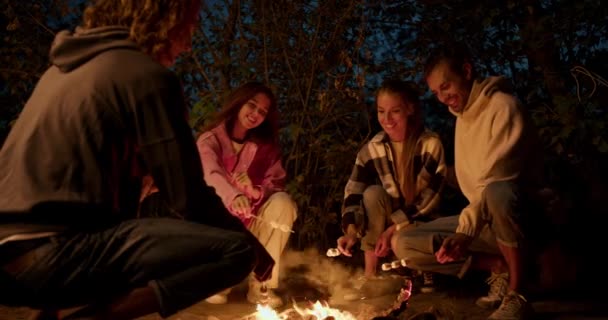 一队两个男孩和两个女孩正在篝火上烤棉花糖 一个在城外的派对在乡间别墅休息 — 图库视频影像