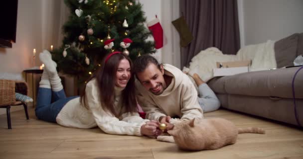 남자와 바닥에 겨울에 그들의 아늑한 집에서 장난감의 도움으로 그들의 크림색 — 비디오