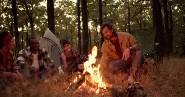 身穿浅绿色夹克的黑发男子在篝火中调整柴火 而参加集体远足的其他参与者则坐着欣赏明亮的火焰 煎棉花糖 在森林里玩乐 — 图库视频影像