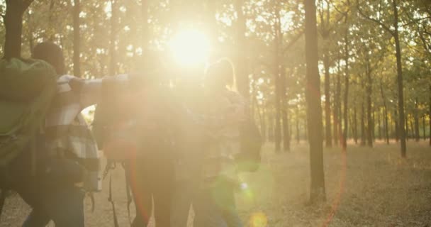 一群带着背包穿着远足服装的快乐的朋友在远足时跑到一起拥抱 快乐的团队在阳光灿烂的夏日森林里远足 — 图库视频影像