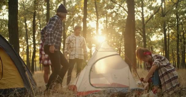 一队四个人穿着格子呢衬衫徒步旅行时搭起了他们的帐篷 一个小帐篷在阳光灿烂的夏日森林里 一小队人在远足途中停下来休息 准备去度假 — 图库视频影像