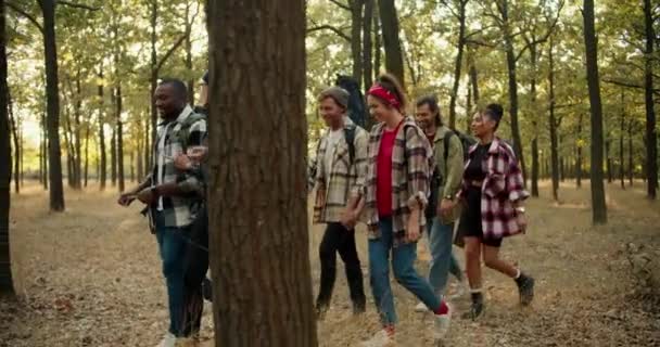 平らなシャツやハイキング服の人々の幸せなグループは 夏の森を通って小さなハイキングに行きます ハイキングの多国籍グループ — ストック動画