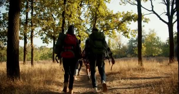 后视镜是一群背着类似背包的人走在救赎路上 夏天在森林里枯草凋零 远足作为一项积极的休闲活动 — 图库视频影像