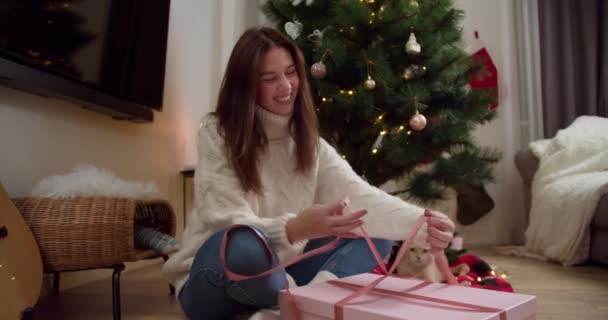 快乐的黑发女孩穿着一件白色毛衣 把她的礼物装在粉红的盒子里 在圣诞树旁打了个蝴蝶结 然后在温暖的冬日里看着相机 — 图库视频影像