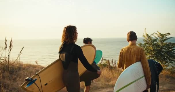 三个快乐的男人 带着冲浪板 沿着小树旁的小路和干枯的草地 走向蓝色的大海 准备在夏天冲浪 一个穿着湿衣的男人和他的两个朋友正在拿着冲浪板 — 图库视频影像
