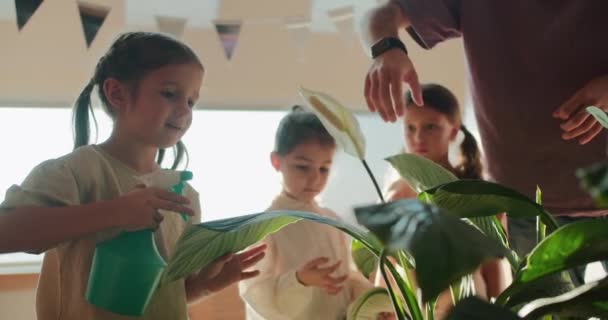 Förskoleflicka Använder Speciell Grön Spruta För Att Spraya Blomma Med — Stockvideo