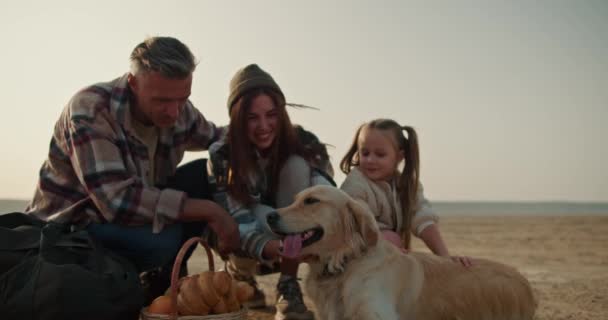 Крупним Планом Знімок Щасливої Вершково Кольорової Собаки Відпочиває Пустельному Узбережжі — стокове відео