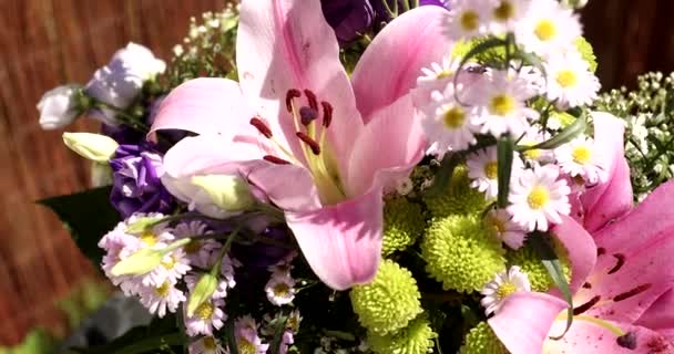Mugurii Rose Lily Închid Ziua Însorită Grădinărit Imagini Fundal Mișcare — Videoclip de stoc