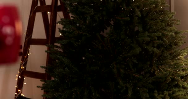 クリスマスドリンク お祝いの背景にあるホットチョコレートのレッドカップ クリスマスコンセプト — ストック動画