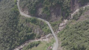 Arka planda ağaçlar olan dolambaçlı bir yol. Yol bir ormanla çevrili ve ağaçlar uzun.