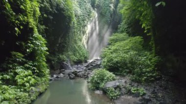 Ortasında su havuzu olan bir şelale. Su temiz ve çevresi yeşil bitki örtüsüyle dolu.