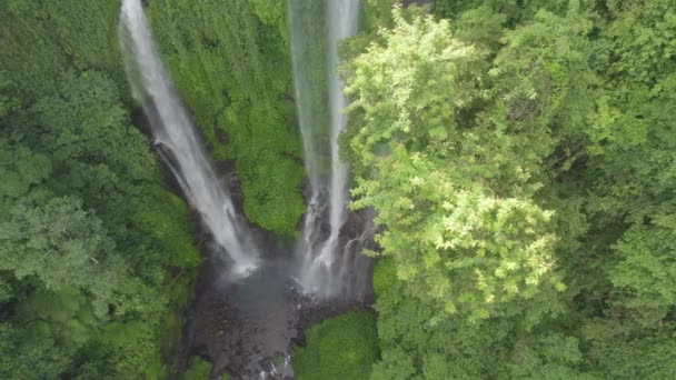 Vodopád Jezírkem Vody Uprostřed Voda Čistá Okolní Oblast Bujná Zelenou — Stock video