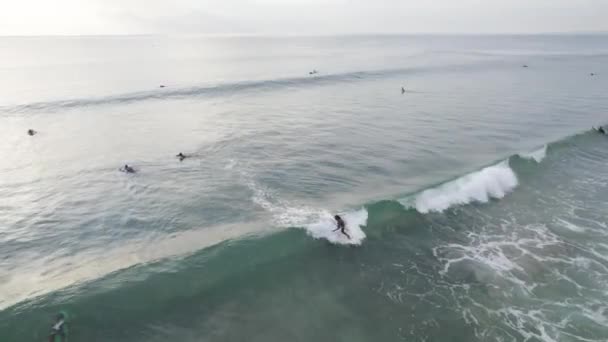 Gün Batımında Okyanusta Sörf Yapan Bir Grup Insan — Stok video