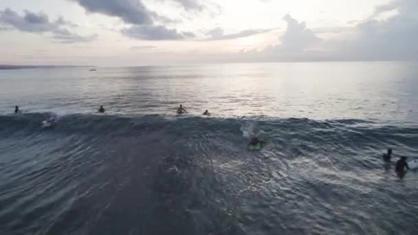 Gün Batımında Okyanusta Sörf Yapan Bir Grup Insan — Stok video