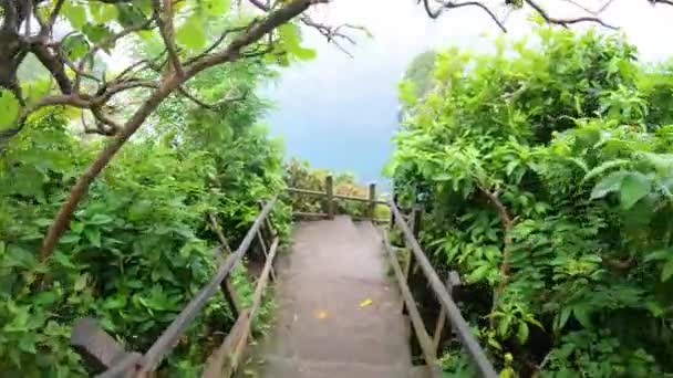 Beautiful View Ocean Wooden Fence Leading Path Path Surrounded Lush — Stock Video