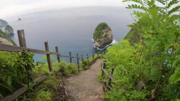 Beautiful View Ocean Wooden Fence Leading Path Path Surrounded Lush — Stock Video