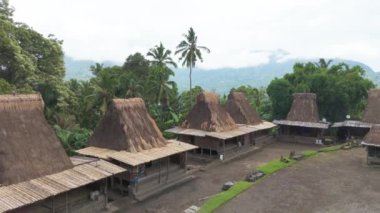 Flores, Endonezya. Ağaçlarla çevrili bambudan yapılmış evleri olan yemyeşil bir orman.                         