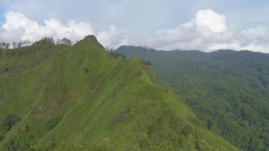 Altında yeşil tepe ve orman olan güzel dağlar. Dağlar yemyeşil bitki örtüsüyle kaplı                           