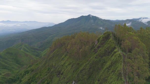 Hermosas Montañas Con Pico Verde Bosque Abajo Montañas Cubiertas Exuberante — Vídeo de stock