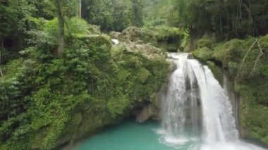 Kawasan şelaleleri, Cebu, Filipinler. Bir şelale mavi bir havuza akıyor. Su berrak ve sakin. Huzurlu ve huzurlu bir sahne..
