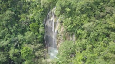 Ortasında şelale olan yemyeşil bir orman. Şelale ağaçlarla çevrili ve su berrak.    