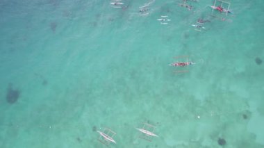 Okyanustaki teknelerde yüzen bir grup insan ve yakınlarda yüzen köpekbalıkları..             