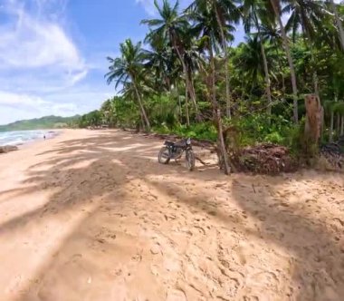Palmiye ağaçları ve bisikleti olan bir sahil. Kumsal boş ve motosiklet kumda park halinde.