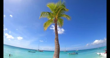 Palmiye ağaçları, insanlar ve tekneleri olan güzel tropikal kumlu sahil