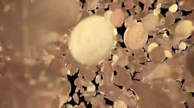 Dolar işaretli altın paralar yağıyor, dağılıyor, sonra da ekrandan süpürülüyor. Finansal içerik, zenginlik kavramları ve hareket grafikleri için ideal. Alfa kanalı dahil. Ultra HD 4K animasyonu